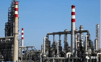 五年以后中國是否會只剩下巨型的化工企業